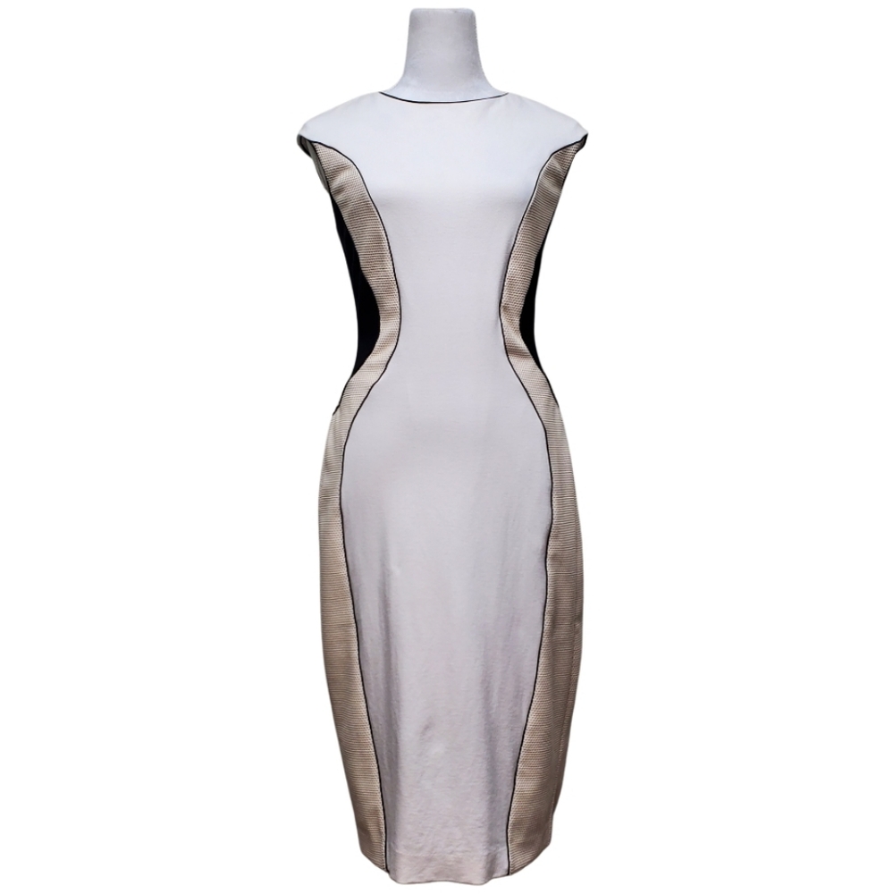 Ann Taylor Beige Color Block Bodycon Sheath Dress Size 8 Tall